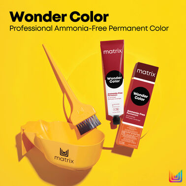 Wonder Color - QuickOrder | L'Oréal Partner Shop